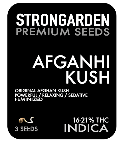 AFGANHI KUSH