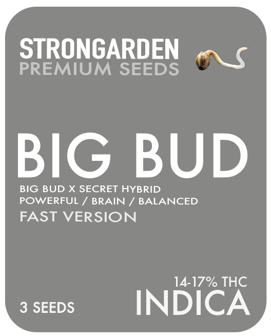 BIG BUD