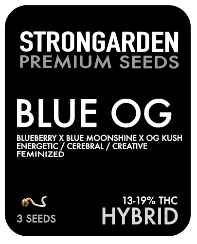 BLUE OG