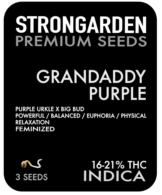 GRANDADDY PURPLE