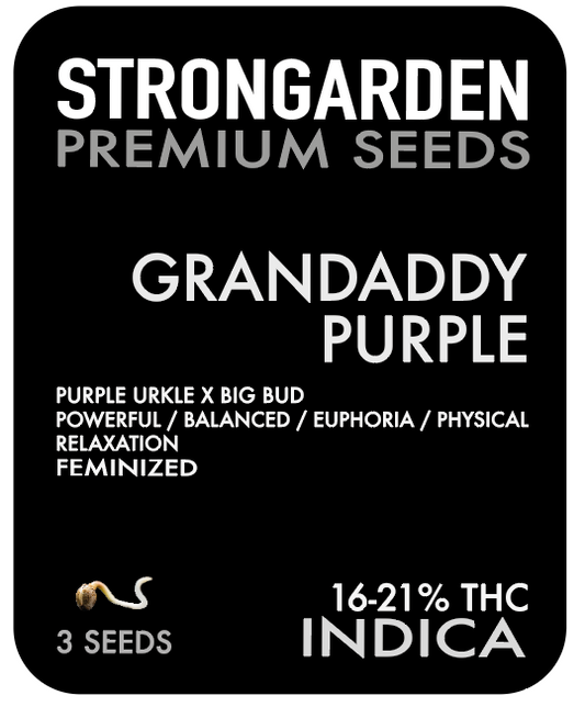 GRANDADDY PURPLE