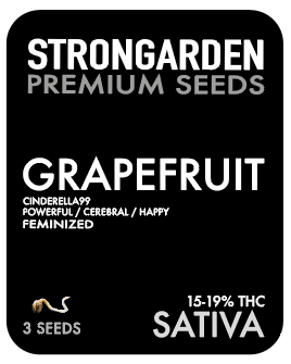 GRAPEFRUIT