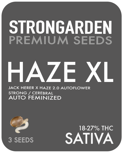 HAZE XL