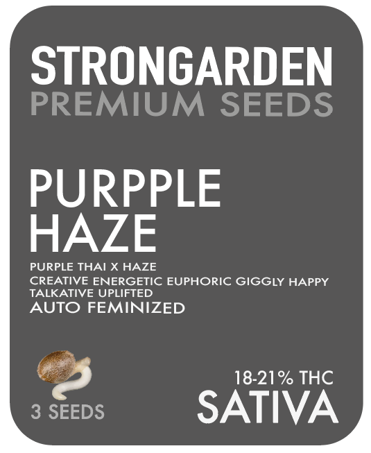 PURPPLE HAZE AUTO