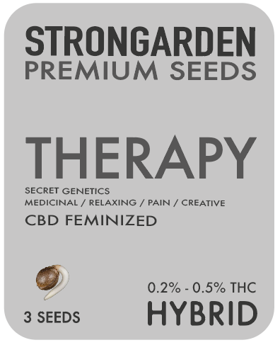 THERAPY CBD